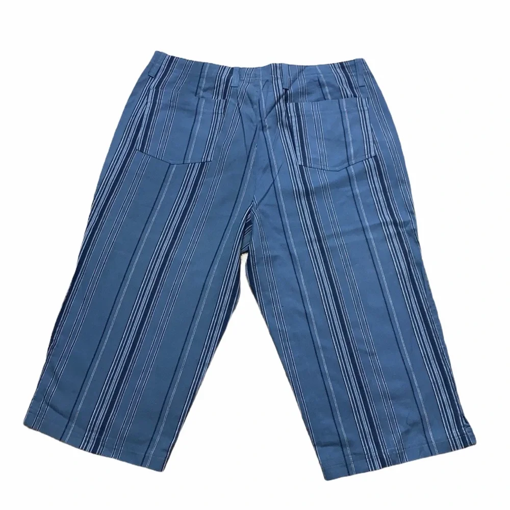 Liz Claiborne Petite Blue Pinstripe Shorts 16 P